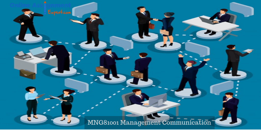 Management Communication Assessment