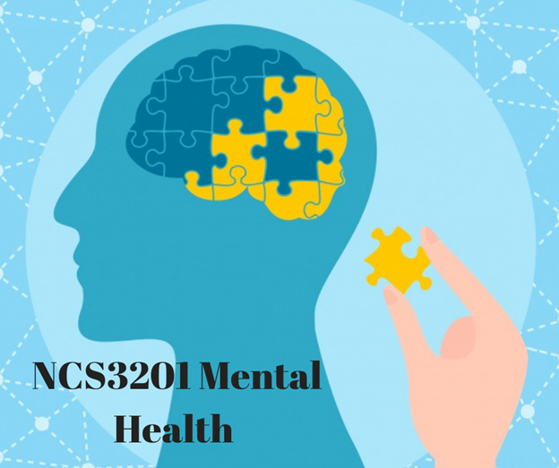 All Your Mental Health NCS3201 Doubts End Here!