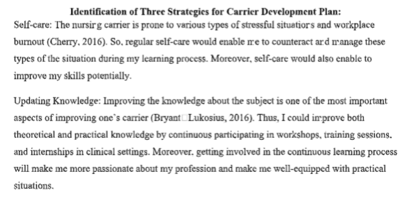 identification three strategies for career development plan