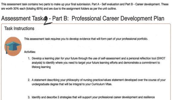 professional care development assignment help