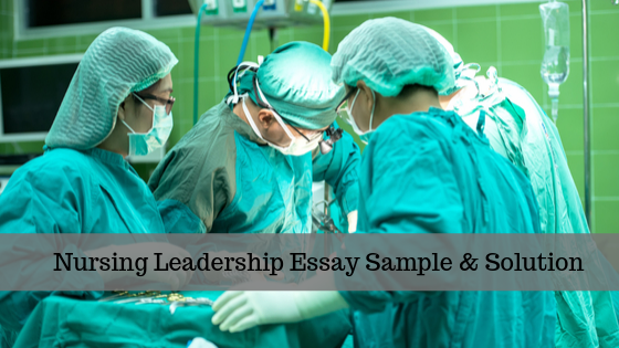 Nursing Leadership Essay Sample 