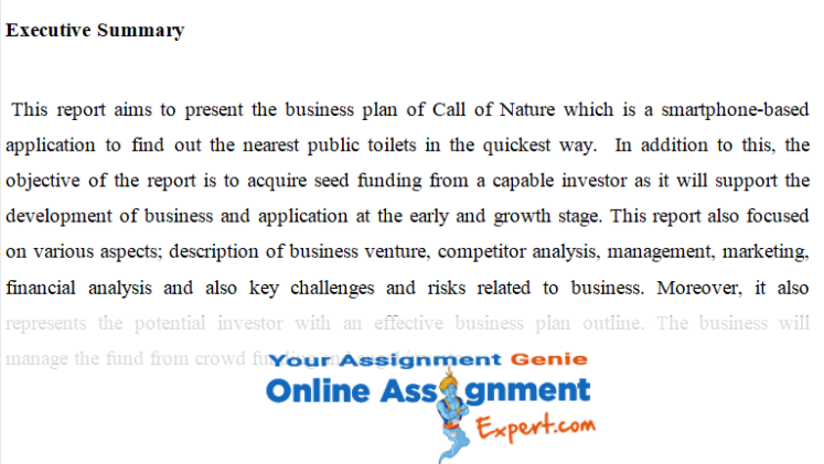 executive summary solution