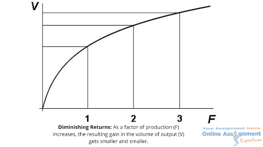 ECON1020 raw the production function of brunos firm assignment sample