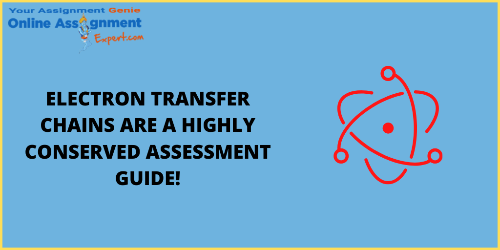 Electron Transfer Chains Are A Highly Conserved Assessment Guide!
