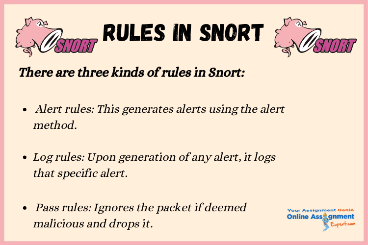 SNORT Intrusion Detection System Assignment Help in Australia