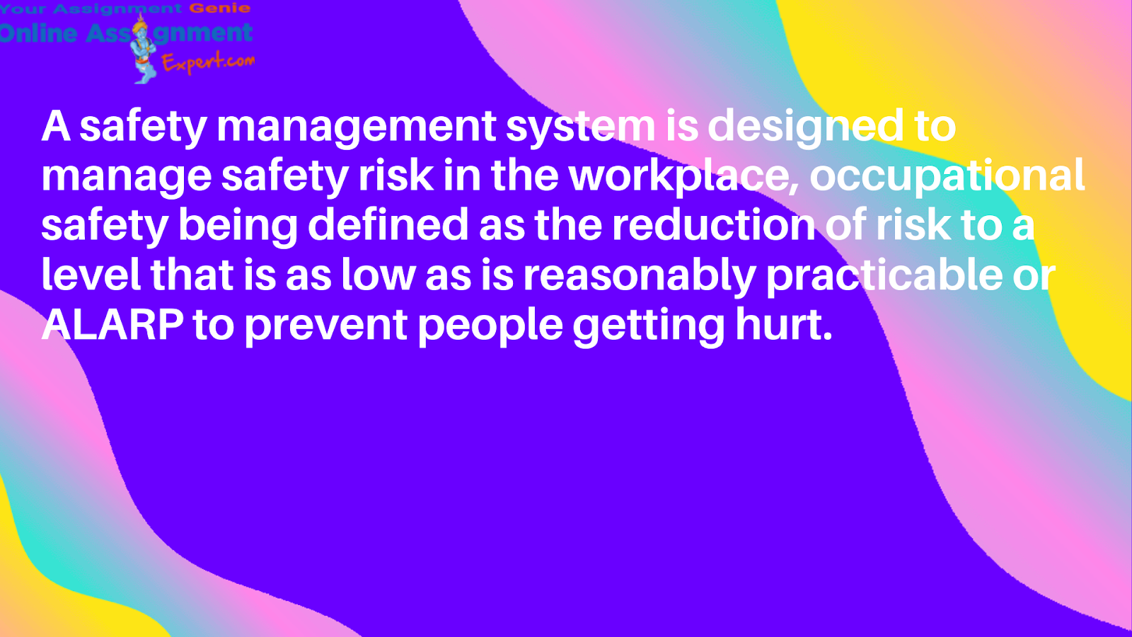 Safety Management Systems assignment help