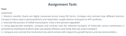 assignment task