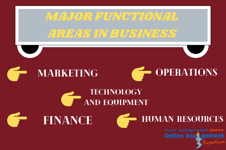 business management assignment help expert
