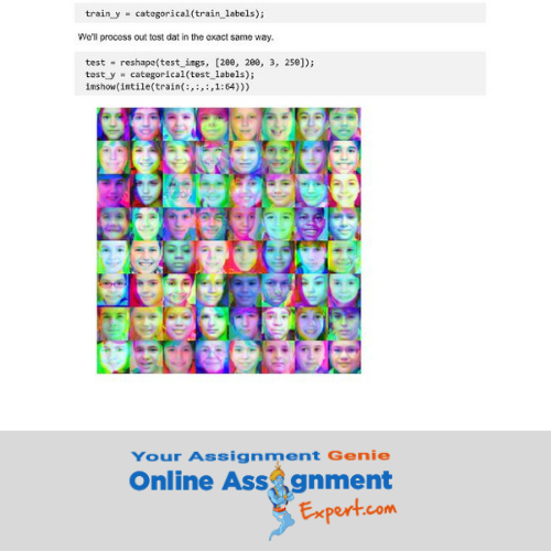 Convolutional Neural Network Assignment Solution