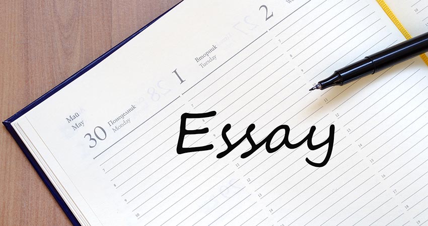 essay writing help