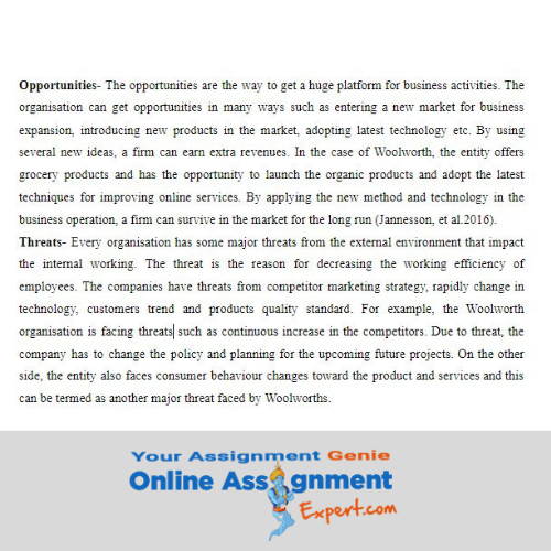 finance essay sample