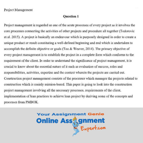 leading lean assignment service