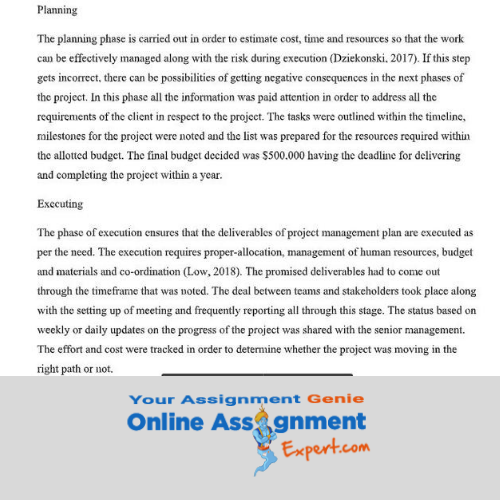 leading lean assignment