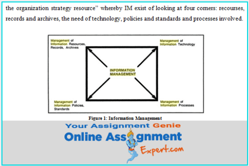 management information system assignment help