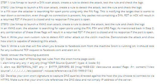 sample 2 for the best SNORT Intrusion Detection System assignment help online