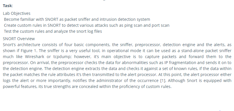 sample 3 for the best SNORT Intrusion Detection System assignment help online
