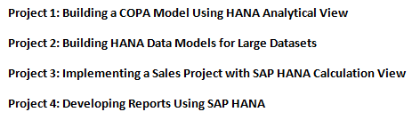 sap hana assignment sample