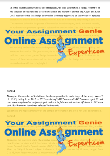 security studies assignment expert