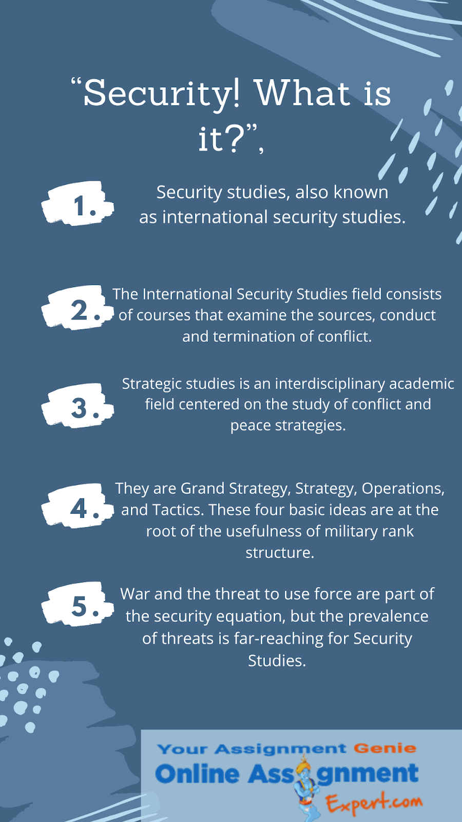 security studies assignment help
