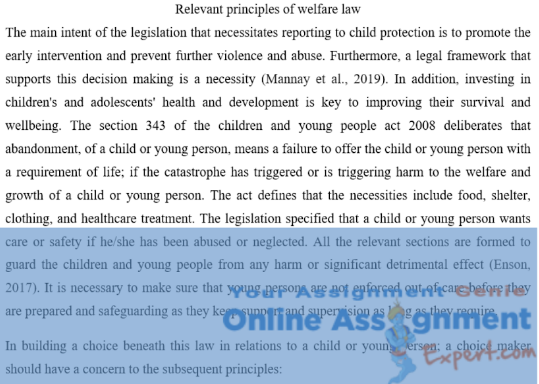 welfare law assignment help