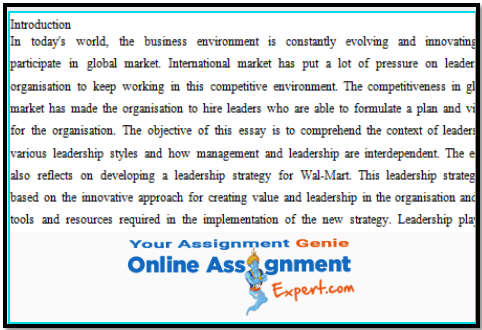 Essay Conclusion writing Sample