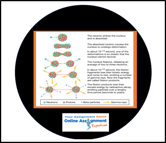 Nuclear Power Production Assignment Help 1