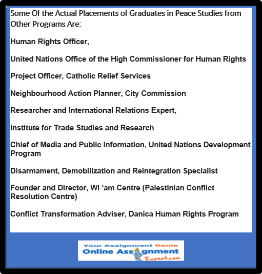Peace and Conflict Studies Assignments Help 1