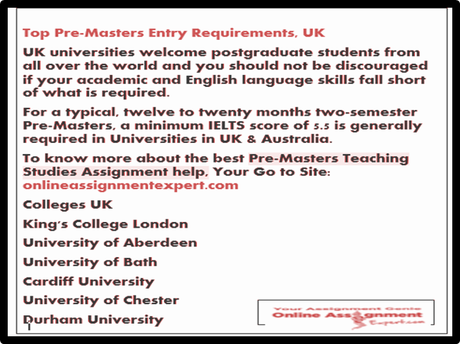 Pre Masters Teaching Studies Assignment Help 3