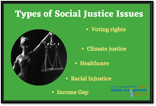 Justice Studies Assignment Help 3