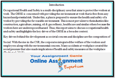 OHSE Management Assignment Help 2