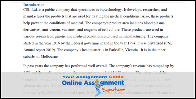 Financial Statement Sample Introduction