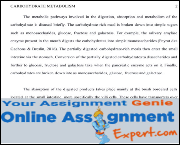 Medical Biochemistry Assignment Help