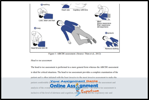 NURBN3030 Assessment Experts