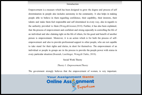 Social Work and Theory Practice Assessment