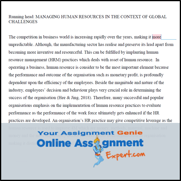 The Age of Globalisation Assignment Samples