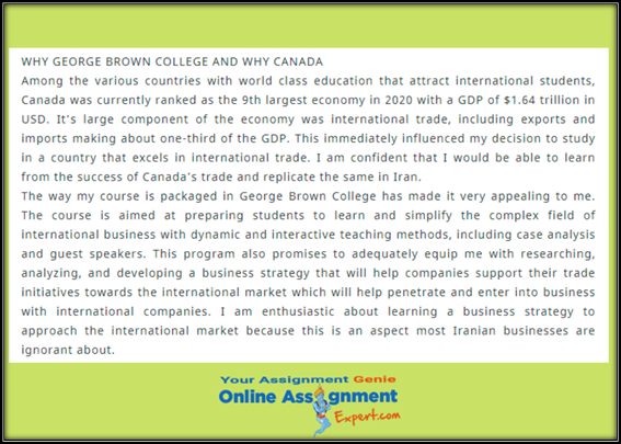 Statement of Purpose Writing Services George Brown