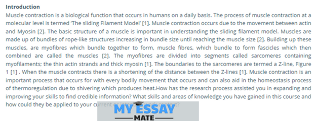 Biology Assignment Sample written by our Expert