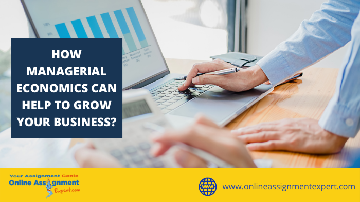 Managerial Economics: Smart Tools for Smarter Business Growth