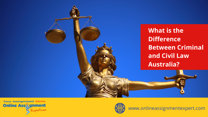 Difference Between Criminal and Civil Law