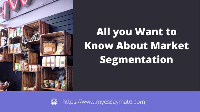 All You Want to Know About Market Segmentation