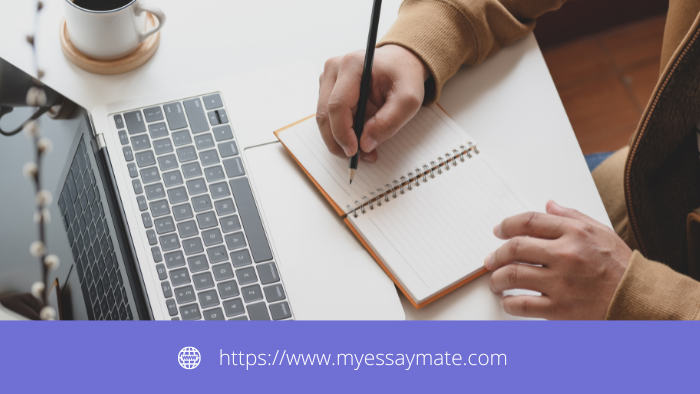 How to Choose the Best Essay Writing Service?