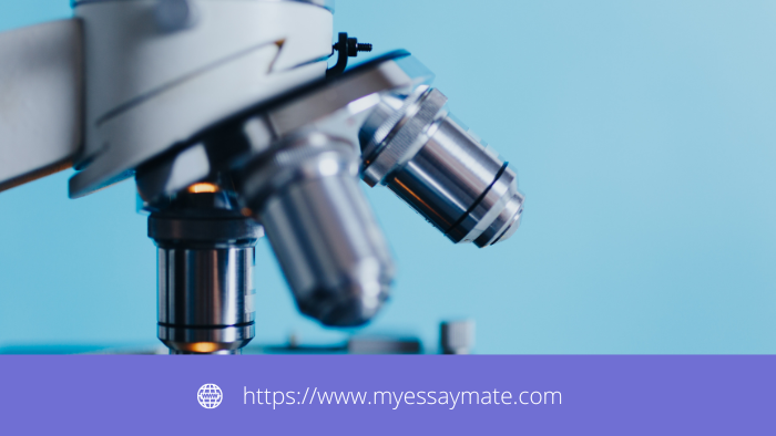 What do Systems Mean in Biology?