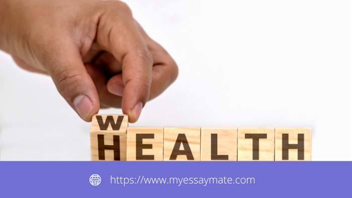 What is Indigo Community Services and Health Hub